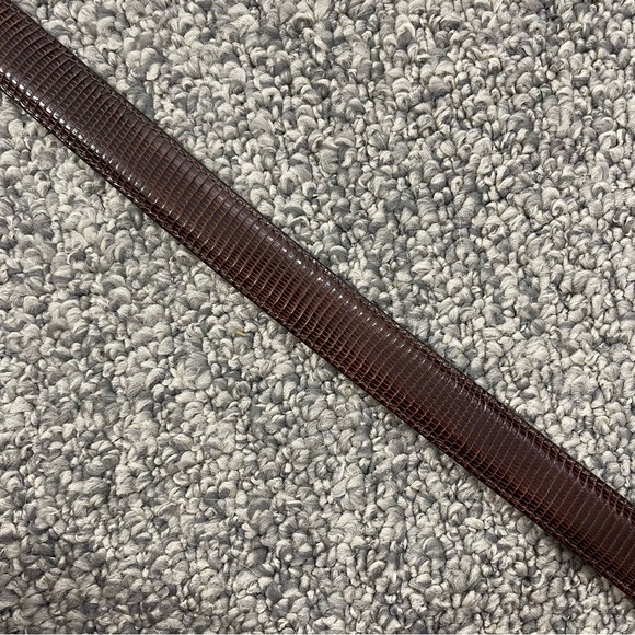 BRIGHTON Dark Brown Genuine Leather Snakeskin Embossed Silver Hardware Belt - Picture 3 of 8